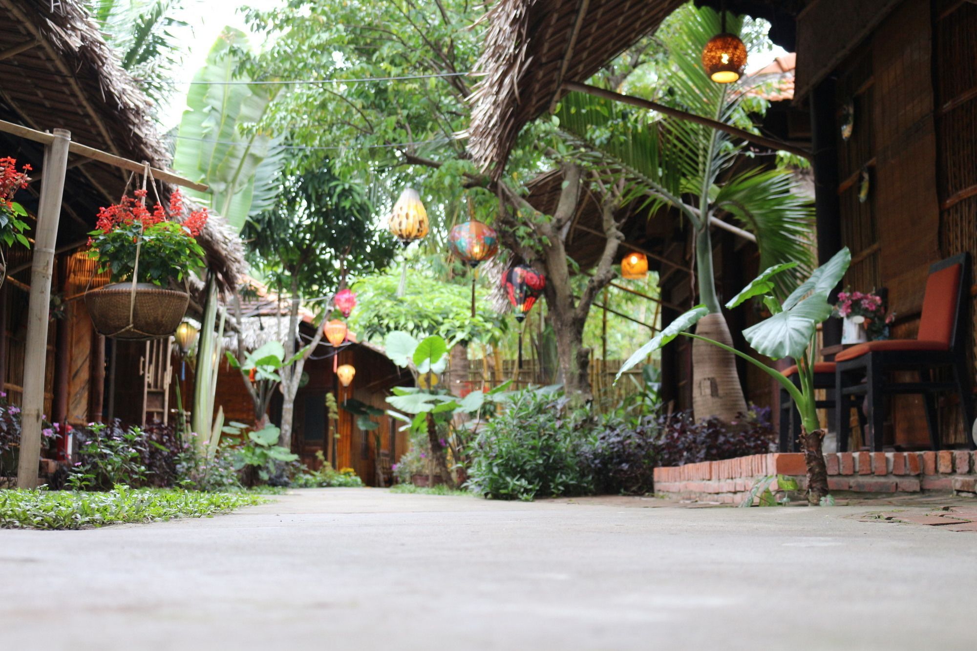 Hotel Under The Coconut Tree à Hội An Extérieur photo